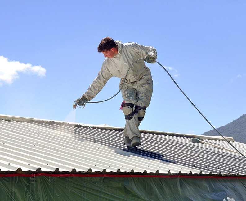 Roof Painting Auckland