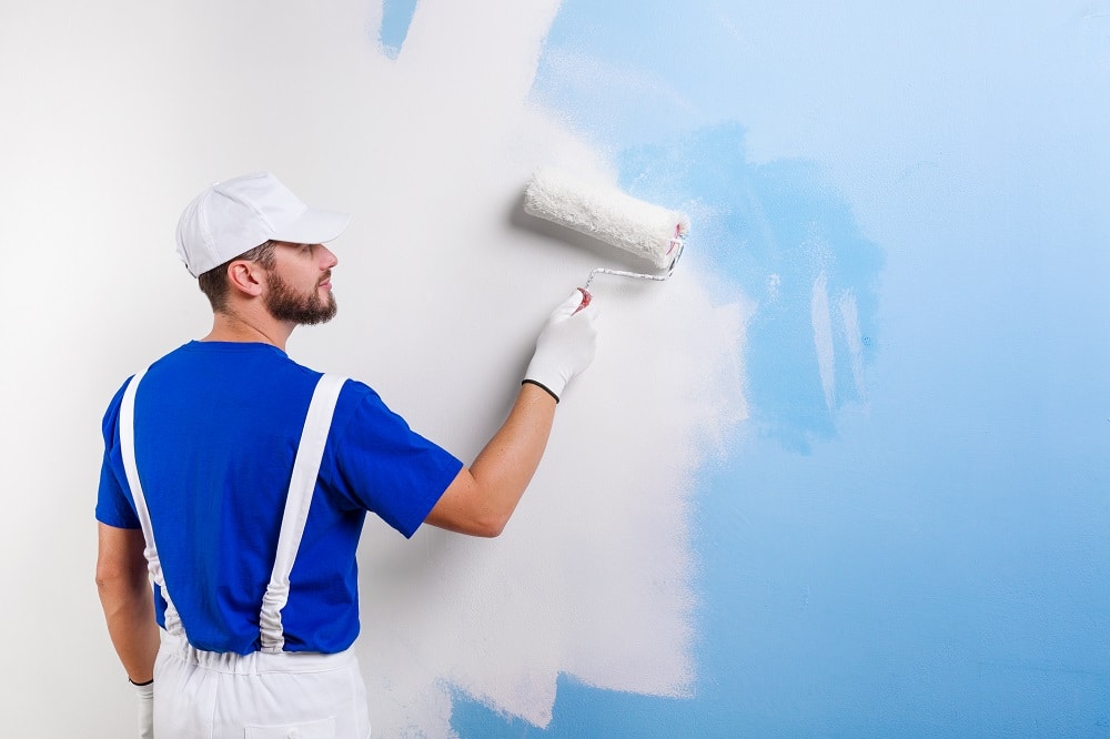 House Painters East Auckland