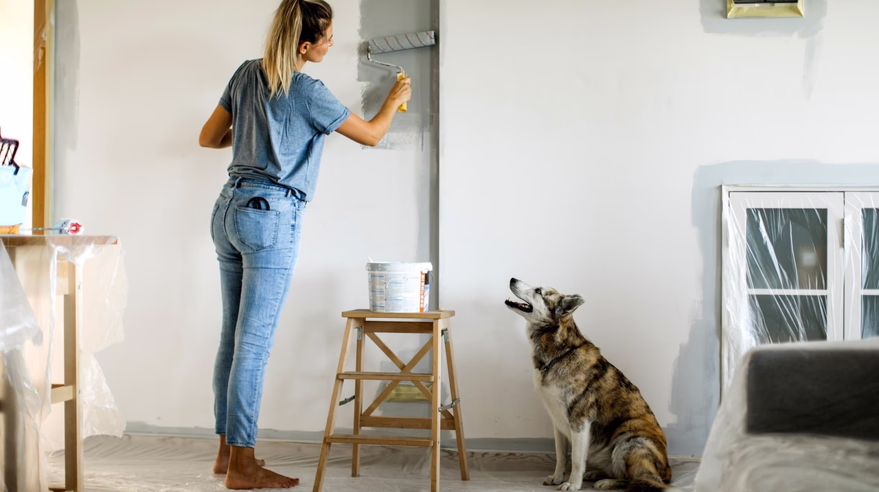 House Painters South Auckland
