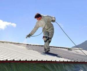Roof Painting Titirangi