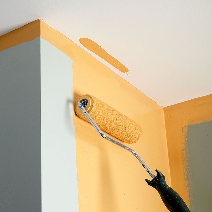 How Much Does it Cost to Paint a House in New Zealand
