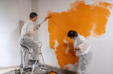 house painter auckland