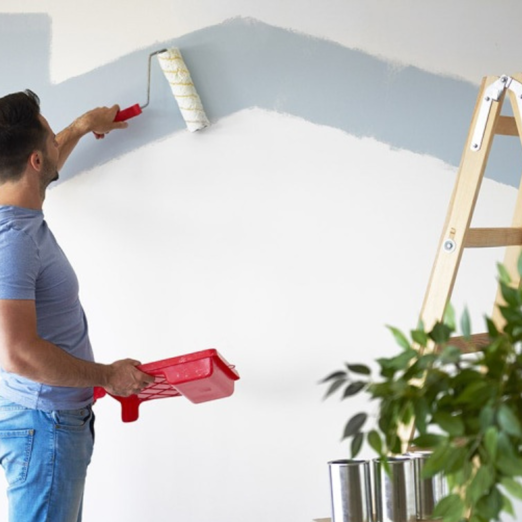 Trained House Painters North Shore Auckland