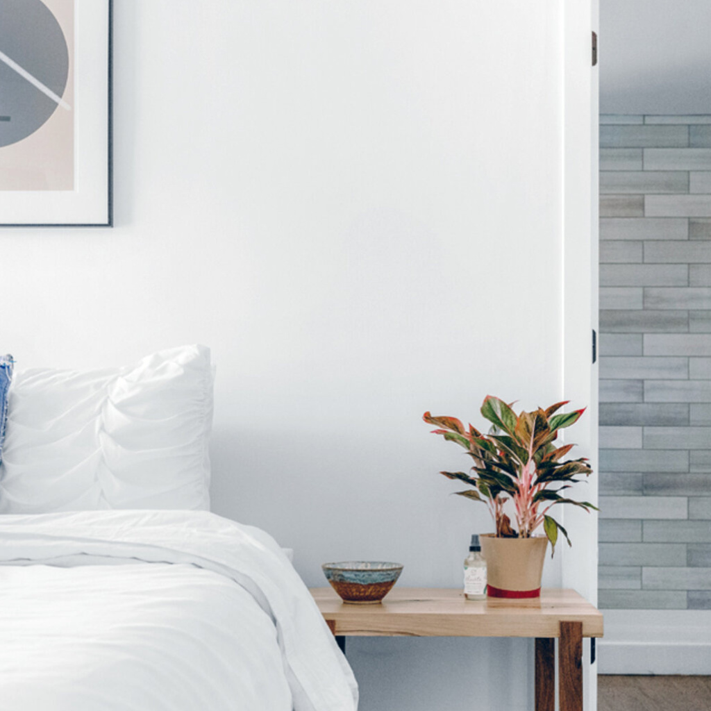 Trained House Painters North Shore Auckland