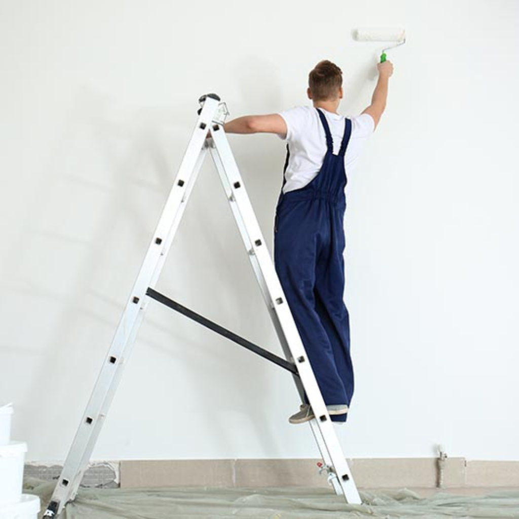House Painters North Shore Auckland
