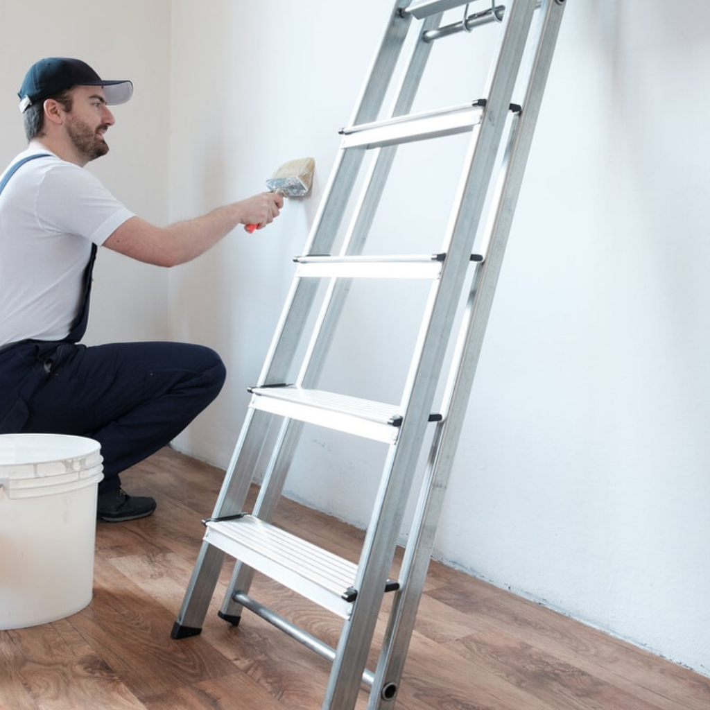 House Painters North Shore Auckland