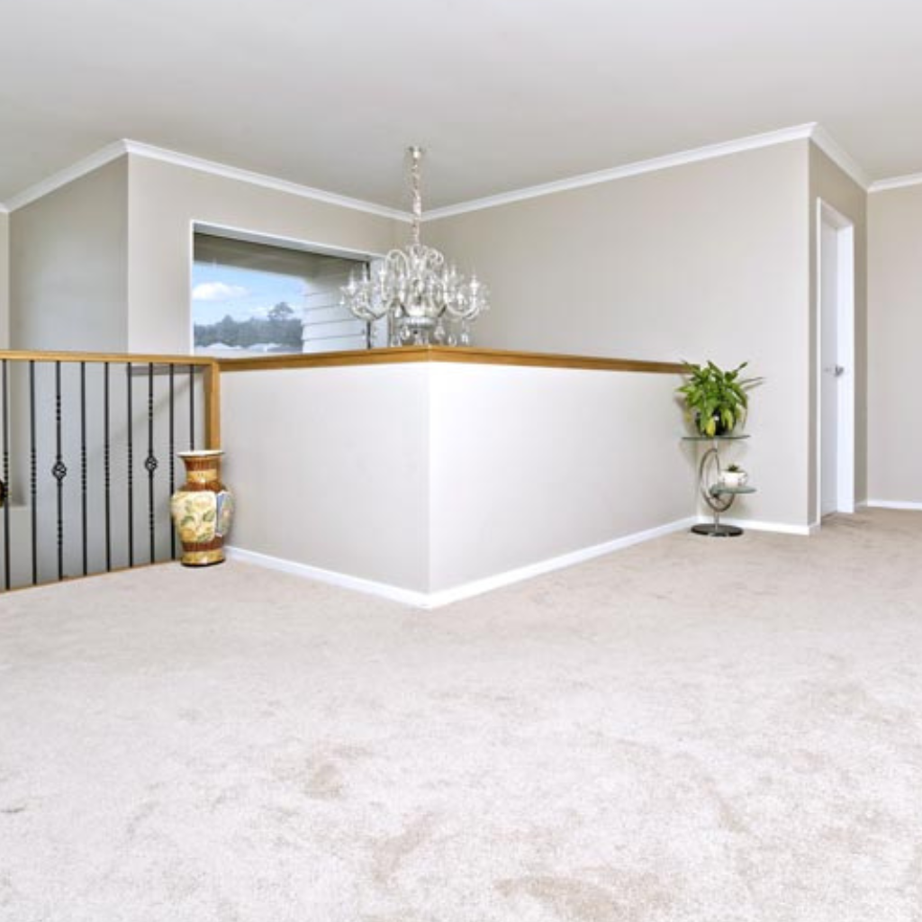 House Painters South Auckland