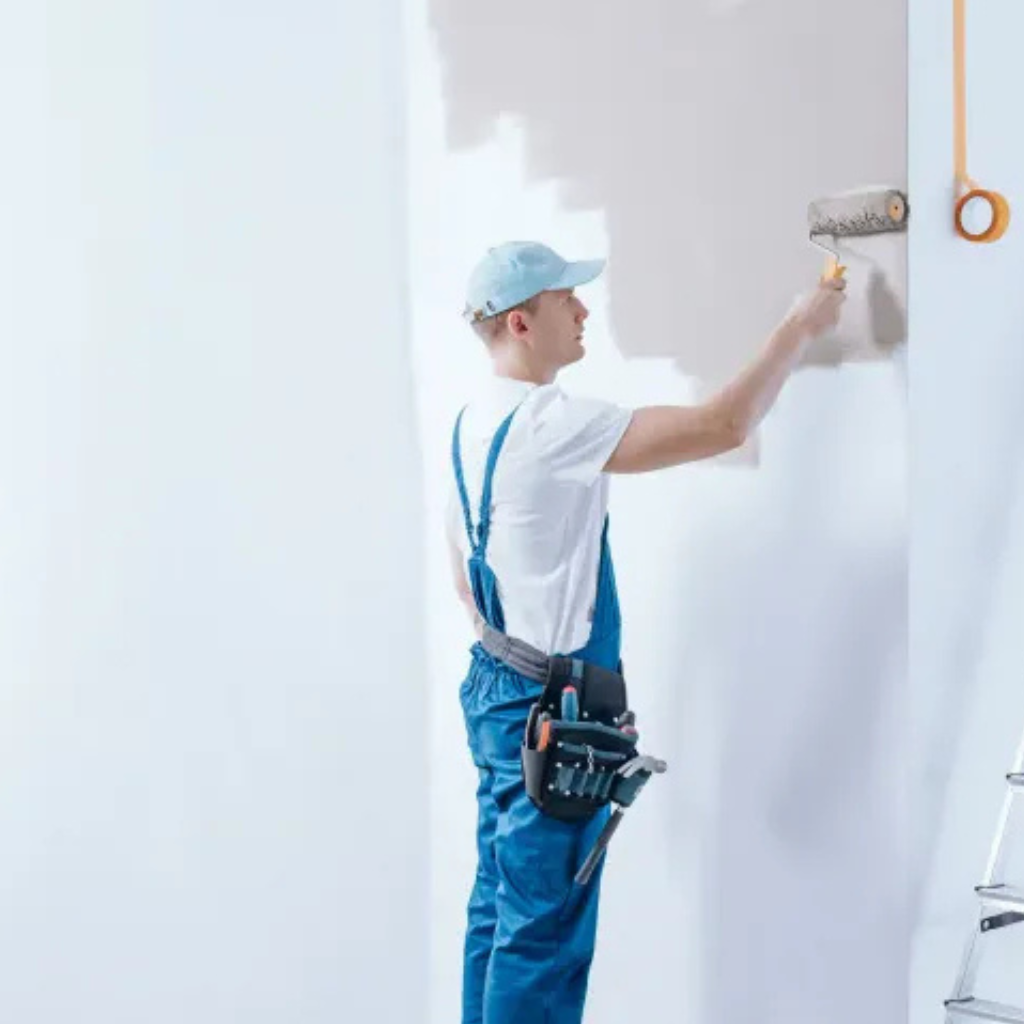 House Painters South Auckland