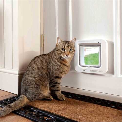 Cat Door Installation Auckland