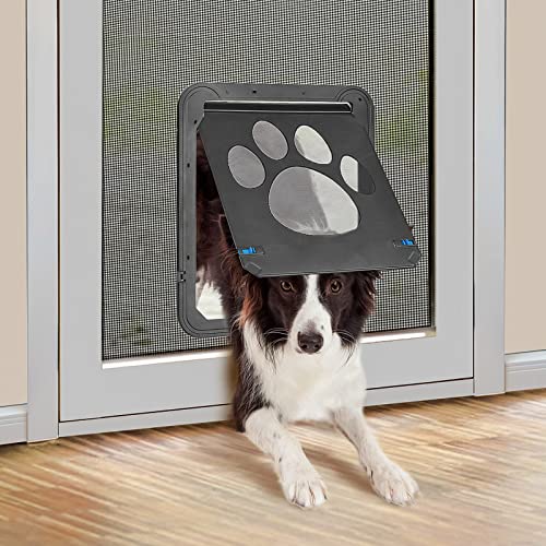 Dog Door Installation Auckland