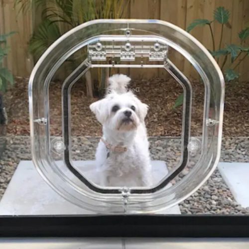 Dog Door Installation Auckland