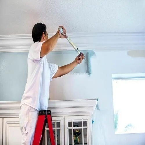 House Painters Manukau