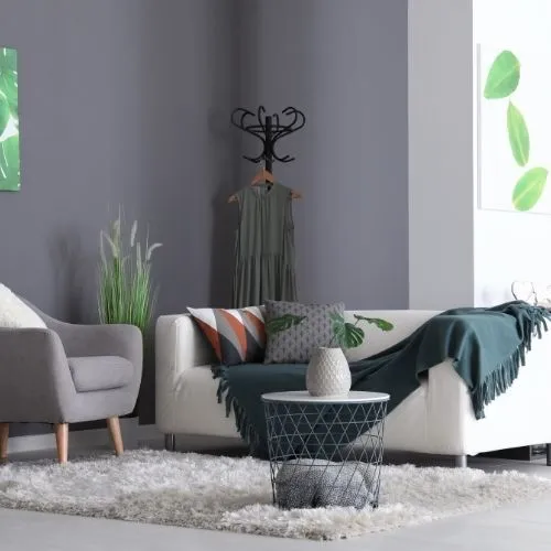 House Painters Western Springs ​