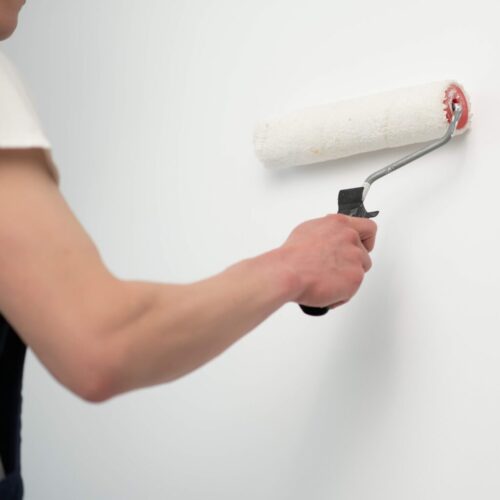 House Painters Manukau