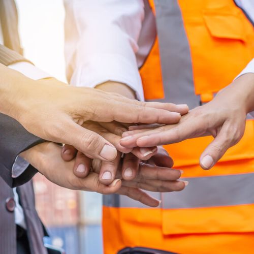 Property Maintenance Remuera